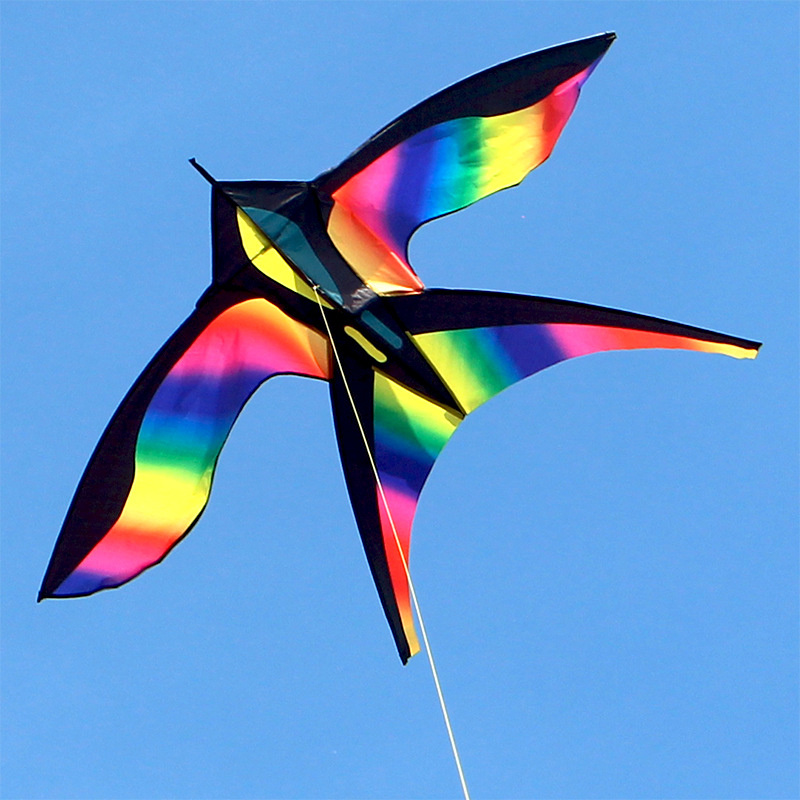 1.7m Easy to Fly Colorful Rain - Kite Easy Fly Kids ulasan dan harga